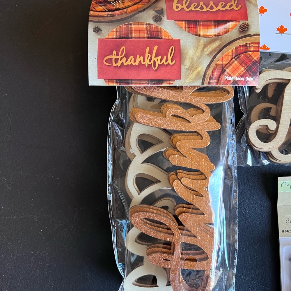 Thankful Craft Lot - Picture 2 of 6